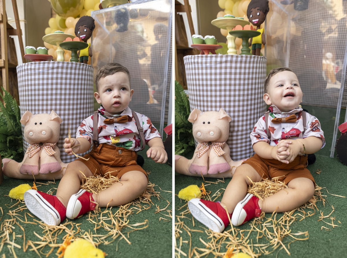festa-infanril-rj-1-ano-menino-tema-decoracao-fazendinha-mundo-bita-animais-fazenda-nilopolis (1)
