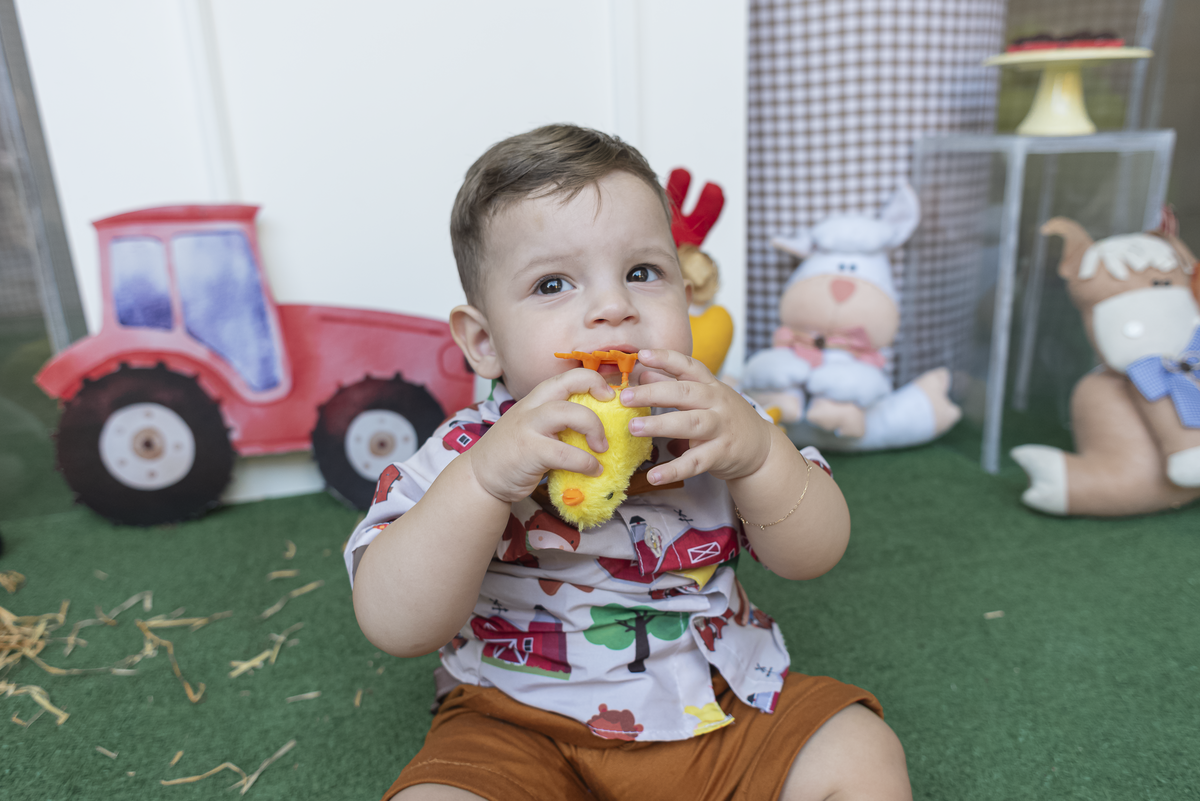 festa-infanril-rj-1-ano-menino-tema-decoracao-fazendinha-mundo-bita-animais-fazenda-nilopolis (1)