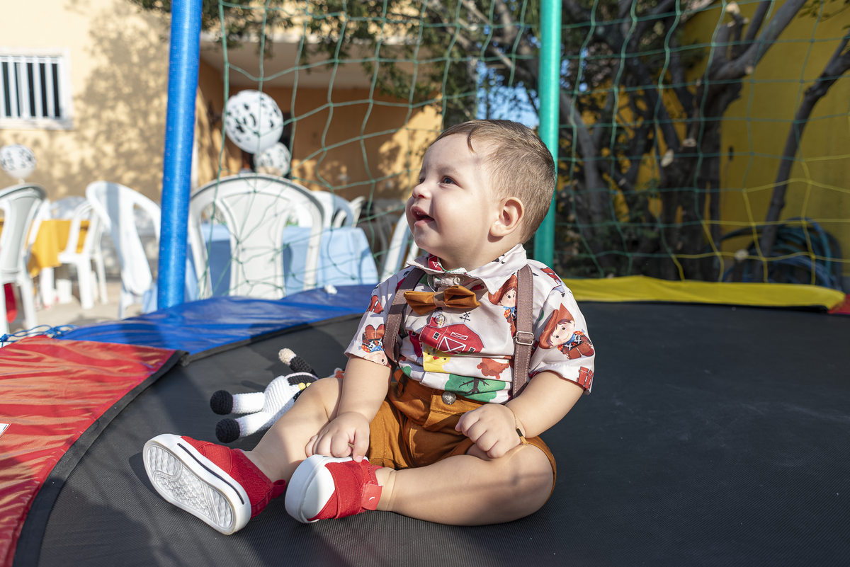 festa-infanril-rj-1-ano-menino-tema-decoracao-fazendinha-mundo-bita-animais-fazenda-nilopolis (1)