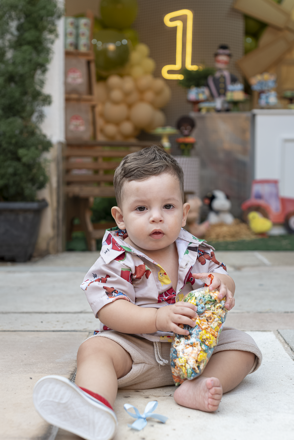 festa-infanril-rj-1-ano-menino-tema-decoracao-fazendinha-mundo-bita-animais-fazenda-nilopolis (1)