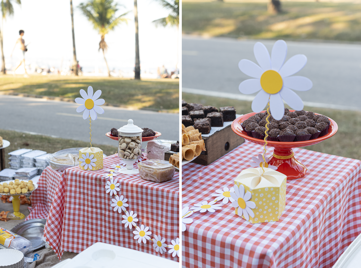 cha-de-bebe-menina-aterro-do-flamengo-picnic-piquenique