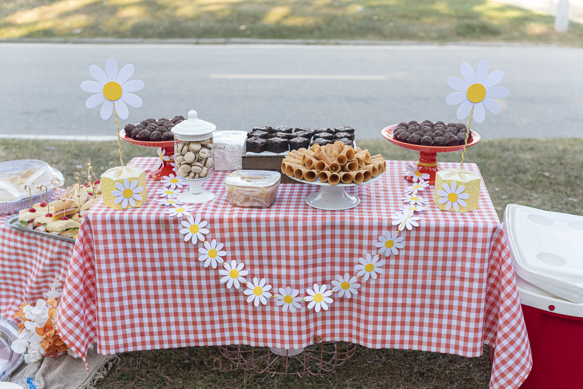 cha-de-bebe-menina-aterro-do-flamengo-picnic-piquenique