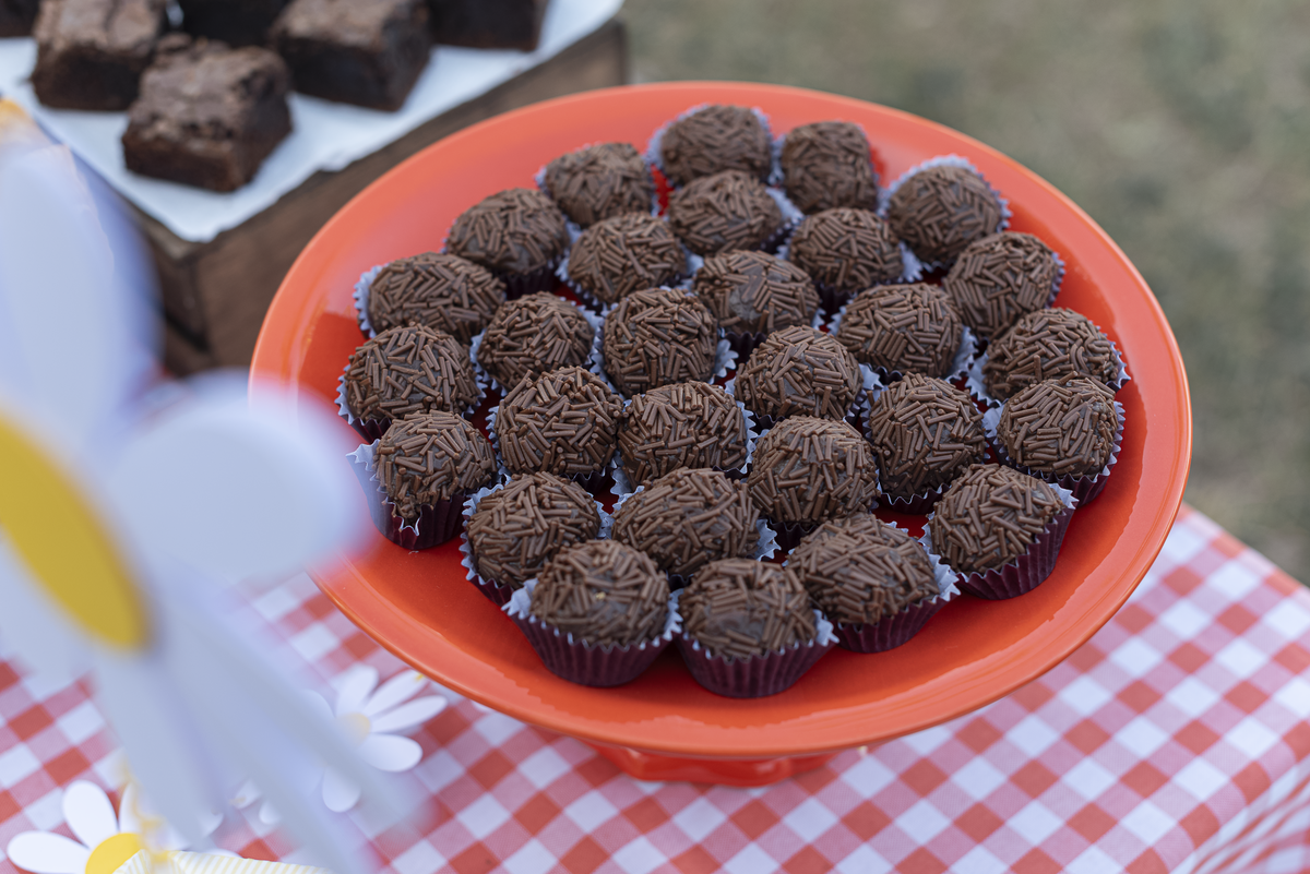 cha-de-bebe-menina-aterro-do-flamengo-picnic-piquenique