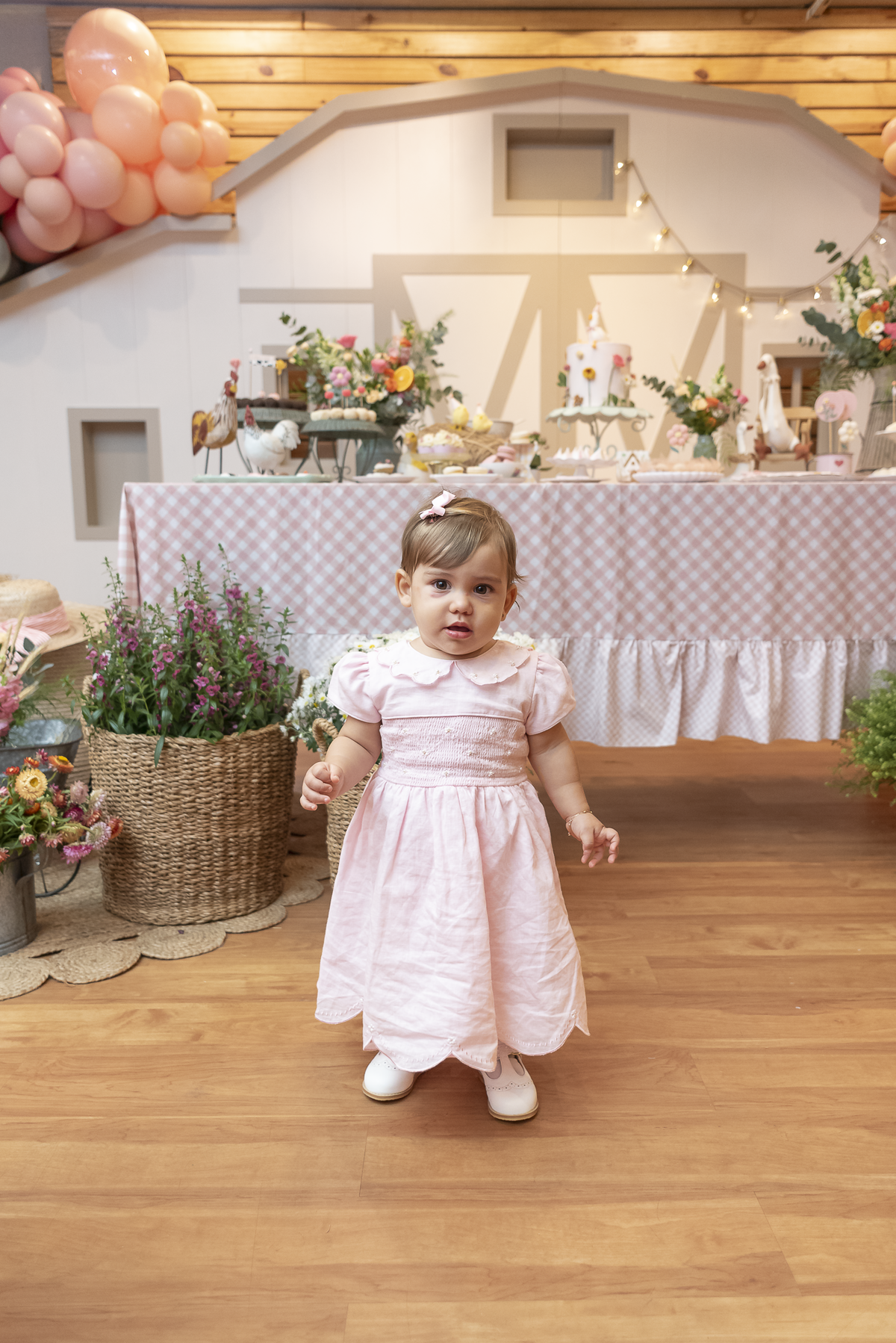 festa-infantil-rj-aniversario-1-ano-menina-tema-decoracao-fazendinha-fazenda-animasom-jockey-club-lagoa-rodrigo-de-freitas