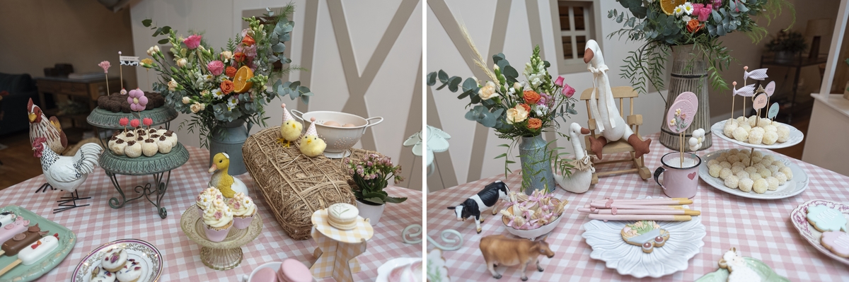 festa-infantil-rj-aniversario-1-ano-menina-tema-decoracao-fazendinha-fazenda-animasom-jockey-club-lagoa-rodrigo-de-freitas