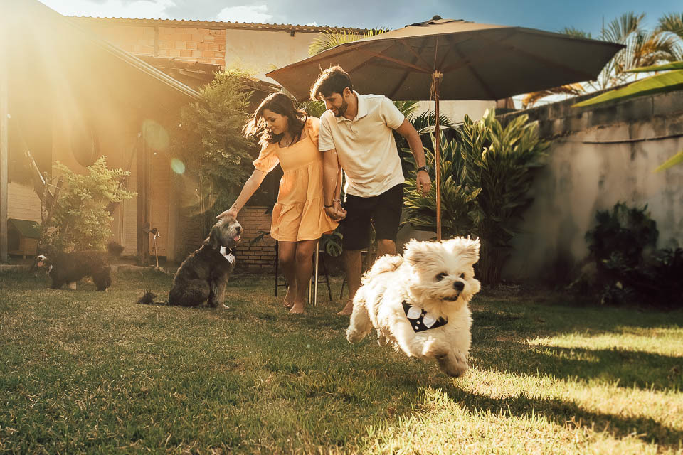 FOTOS PRE WEDDING COM PET
