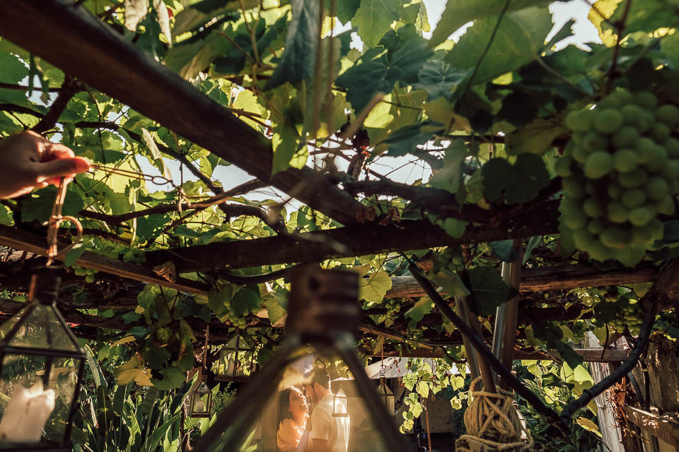 FOTOS PRE WEDDING COM PET