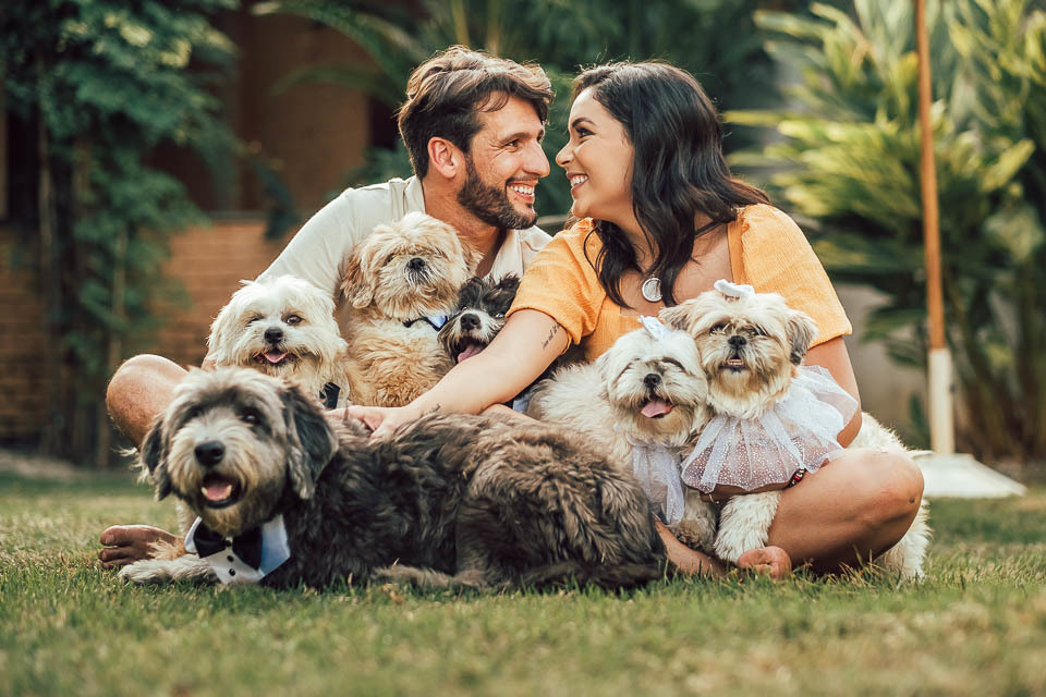 FOTOS PRE WEDDING COM PET