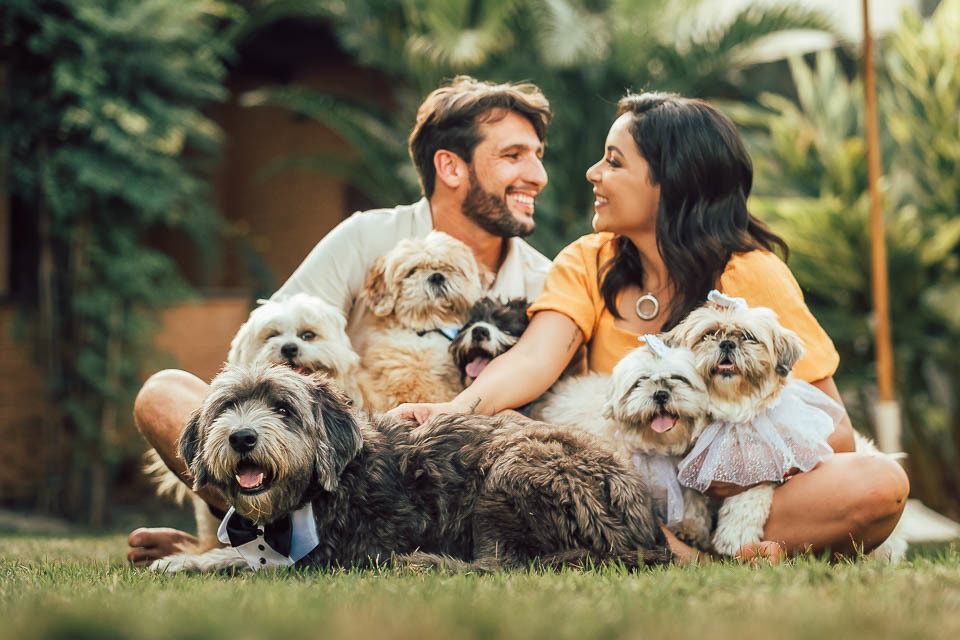 FOTOS PRE WEDDING COM PET