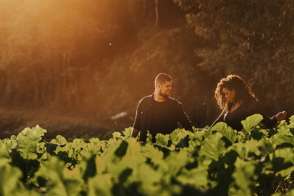 FOTOS ENSAIO PRE WEDDING PLANTAÇÃO DE COUVE - SARZEDO - IBIRITE 
