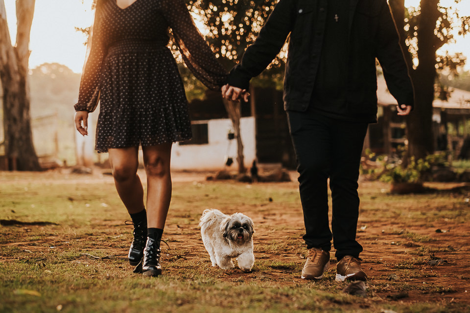 FOTO PRE WEDDING CACHORRO 