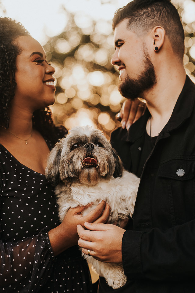 FOTO PRE WEDDING CACHORRO 