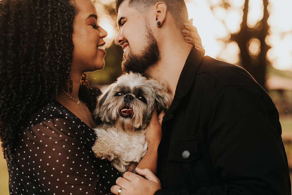 FOTO PRE WEDDING CACHORRO 