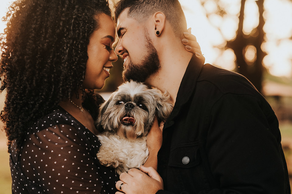 FOTO PRE WEDDING CACHORRO 