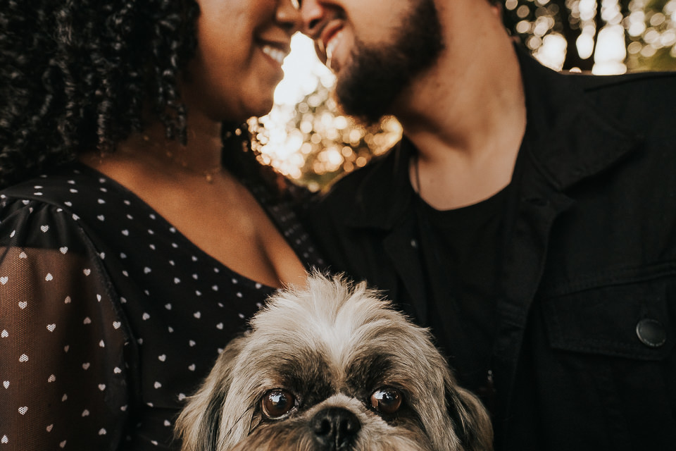 FOTO PRE WEDDING CACHORRO 