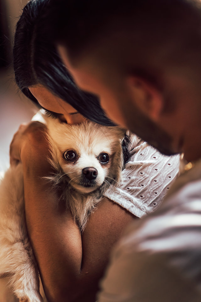 FOTOS ENSAIO PRE WEDDING COM  LULU DA POMERANIA 