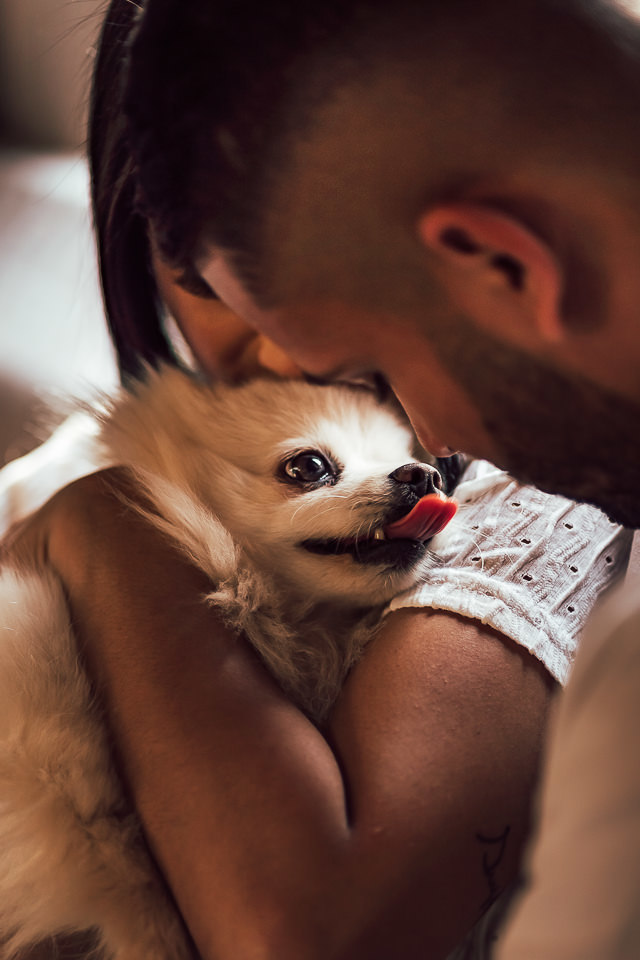 ENSAIO PRE WEDDING COM PETFOTOS ENSAIO PRE WEDDING COM  LULU DA POMERANIA 