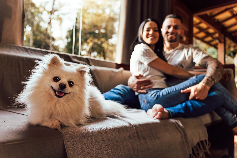 ENSAIO PRE WEDDING COM PEFOTOS ENSAIO PRE WEDDING COM  LULU DA POMERANIA T