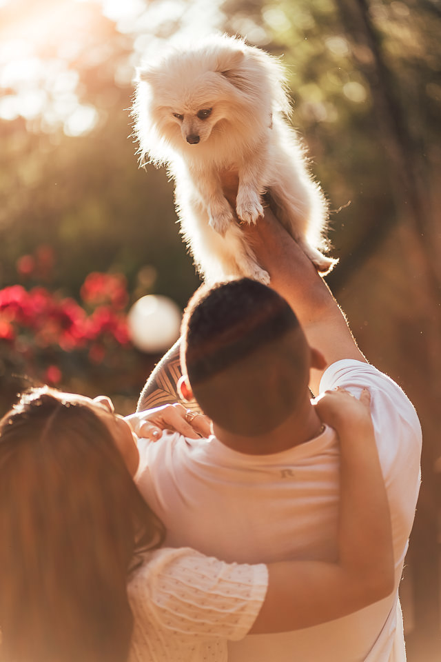 ENSAIO PRE WEDDING CASA INBRAIM BRUMADINHO 
