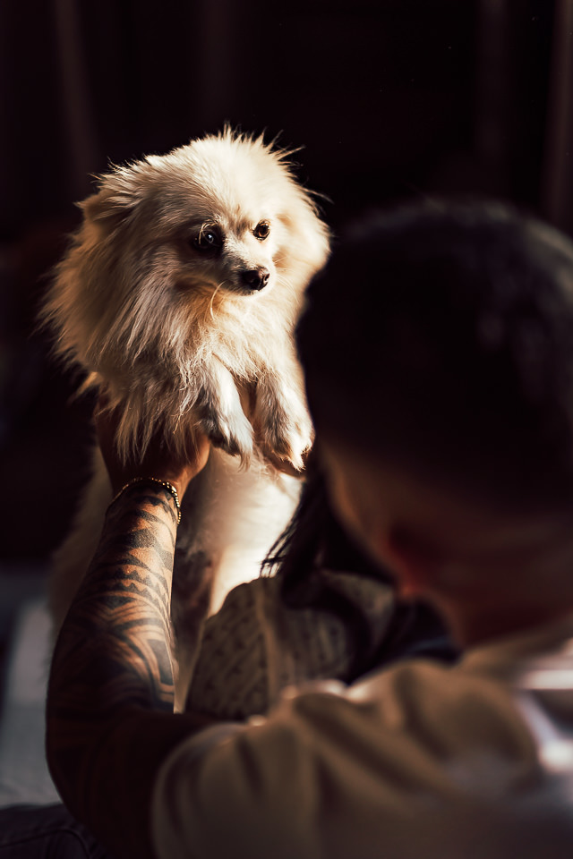 ENSAIO PRE WEDDING COM  LULU DA POMERANIA 