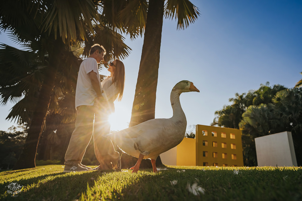 FOTOS ENSAIO PRE CASAMENTO INHOTIM BRUMADINHO