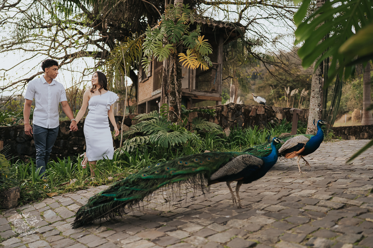 FOTOS PRE WEDDING FAZENDA QUINZEIRO