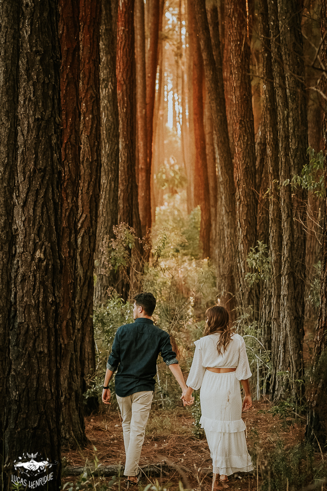 FOTOS CASAL PRE WEDDING EUCALIPTO EM BELO HORIZONTE