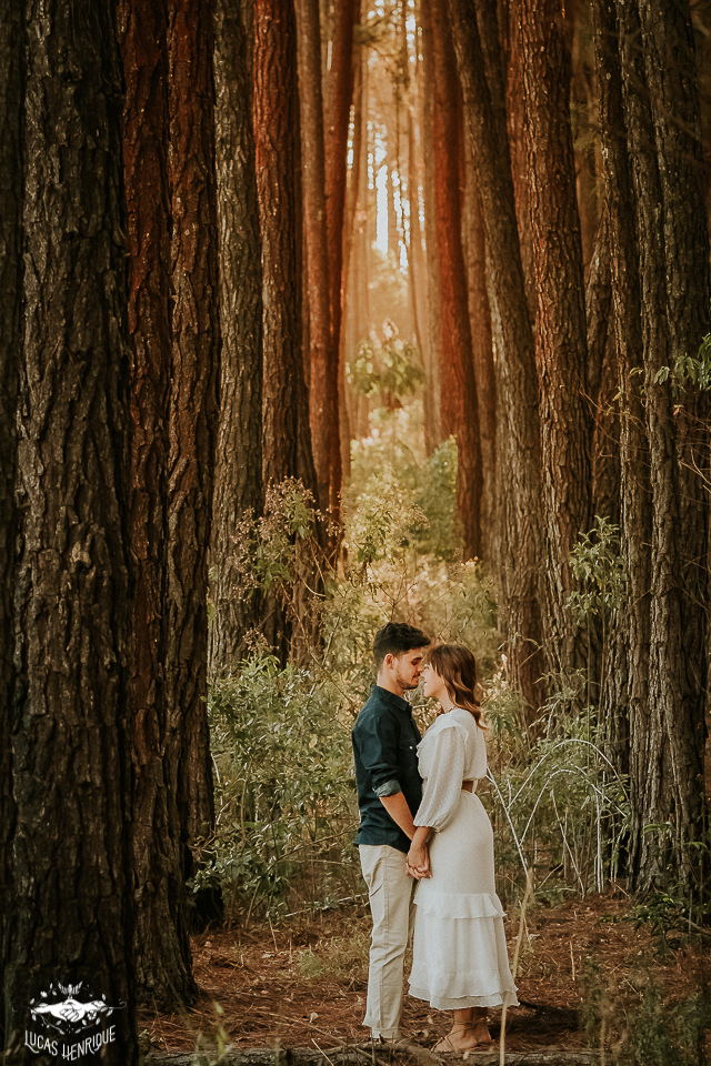 FOTOS CASAL PRE WEDDING EUCALIPTO EM BELO HORIZONTE