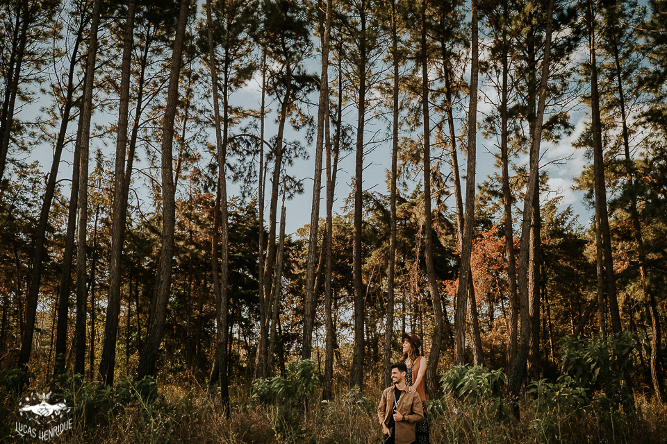 FOTOS PRE WEDDING EUCALIPTO EM BH