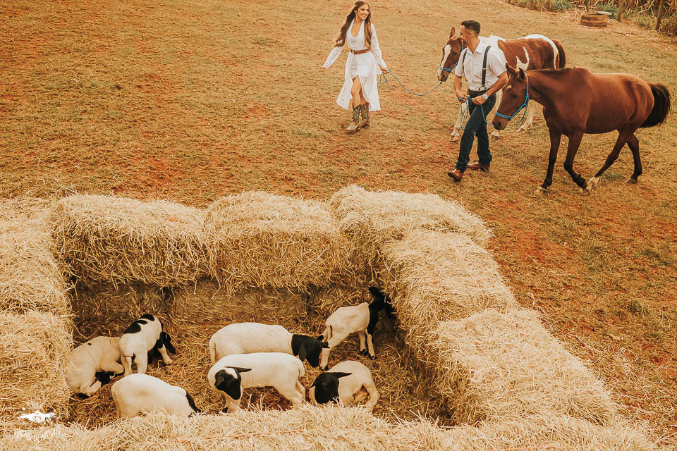 FOTOS ENSAIO PRE CASAMENTO COM CARNEIRO E CAVALO