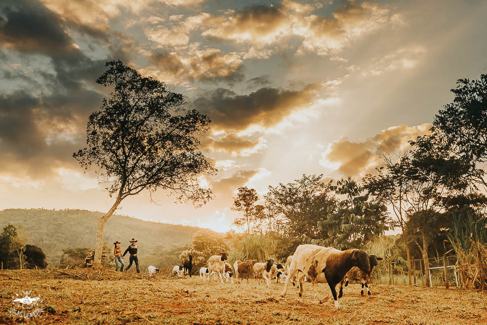 FOTOS ENSAIO PRE WEDDING COM CARNEIRO