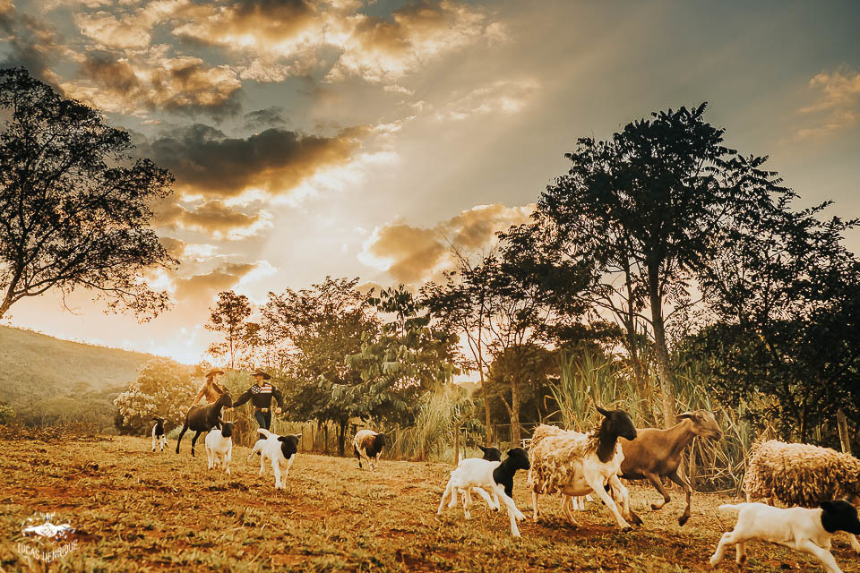 FOTOS ENSAIO PRE WEDDING COM CARNEIRO