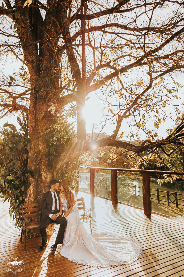 POS CASAMENTO ARVORE IPE AMARELO