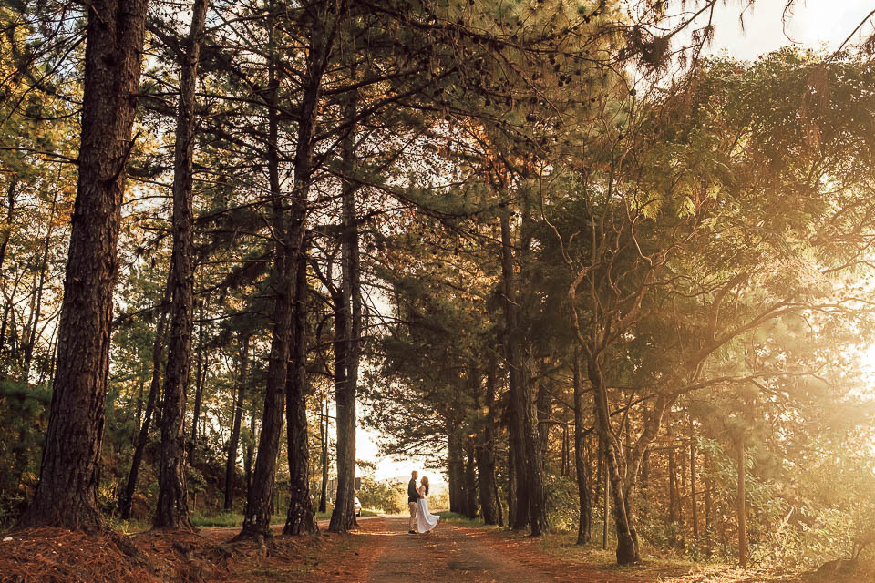 FOTOS ENSAIO PRE CASAMENTO MACACOS MG