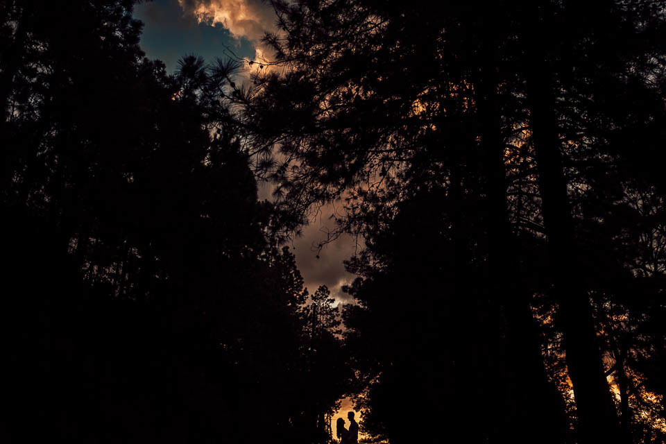 FOTOS ENSAIO PRE WEDDING  POR DO SOL MACACOS - MG