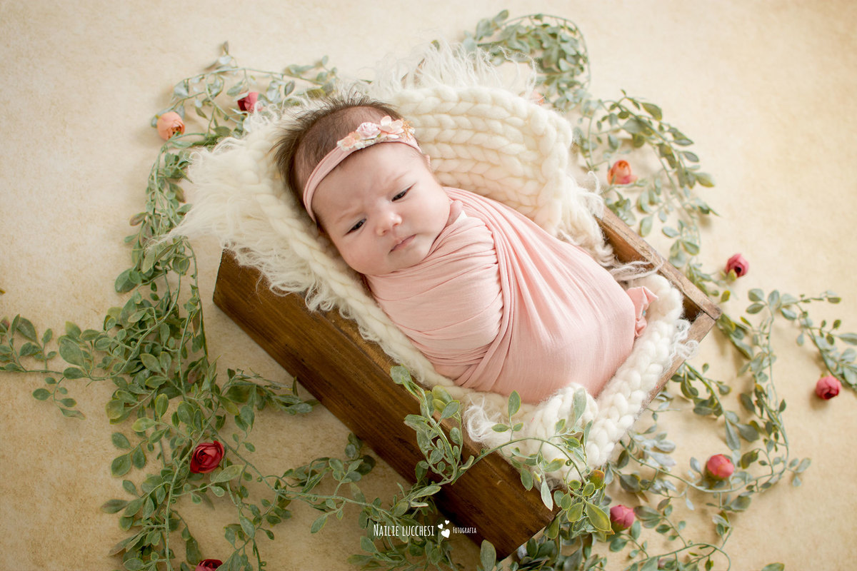 maitê em seu ensaio newborn em são jose dos campos SP no estudio de fotografia nailie lucchesi