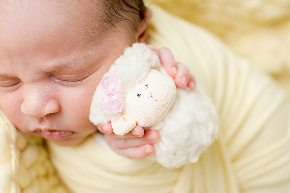 Ensaio newborn da Alice realizado em São José dos Campos - SP no estudio nailie lucchesi fotografia, a alice estava com 11 dias de vida, e foi uma verdadeira princesinha, se comportou muito bem e me permitiu fazer lindas fotos!