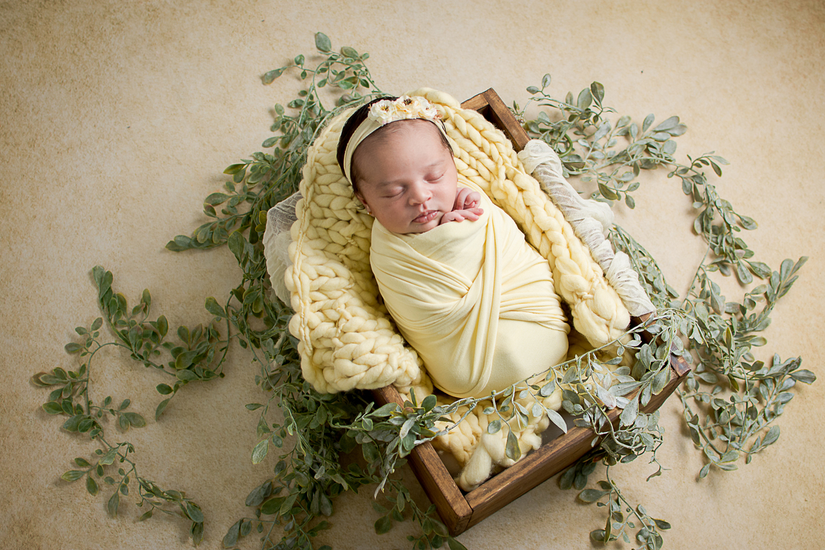 Ensaio newborn da Alice realizado em São José dos Campos - SP no estudio nailie lucchesi fotografia, a alice estava com 11 dias de vida, e foi uma verdadeira princesinha, se comportou muito bem e me permitiu fazer lindas fotos!
