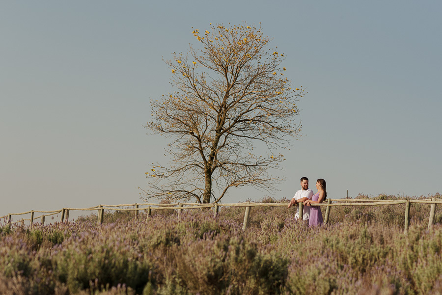 Matthaus e Rebeca contemplam o horizonte no Lavandário de Cunha. Ensaio pre-wedding na Serra da Mantiqueira com campos de lavanda e a beleza da flora local. Fotografia de casal autêntica e romântica para um álbum de casamento inesquecível.
