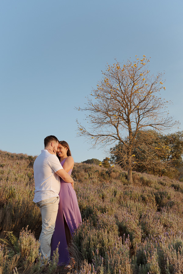Matthaus e Rebeca abraçados entre as lavandas no entardecer de Cunha. Ensaio pré-casamento sob luz dourada com o icônico Ipê-amarelo ao fundo. Registro profissional romântico e atemporal na Serra da Mantiqueira.