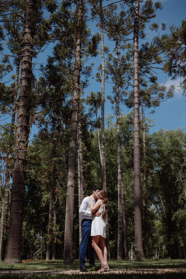 Casal de noivos se abraça sob altas araucárias durante ensaio fotográfico no Parque da Cidade em São José dos Campos. Fotografia de casamento civil em SJC que destaca Ana Luiza e Felipe Antônio em meio à imponente natureza do Parque Roberto Burle Marx.