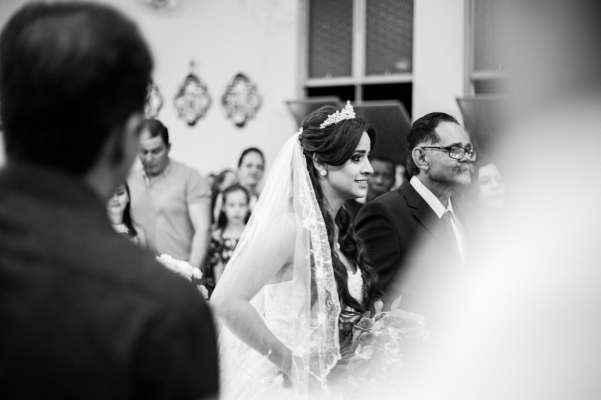 fotografo em Alcinópolis - MS