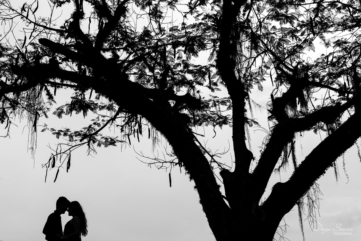 Ensaio-pre-casamento-patricia-e-luiz-paulo-fotografo-de-casamento-diego-souza-fotografia-valença-rj
