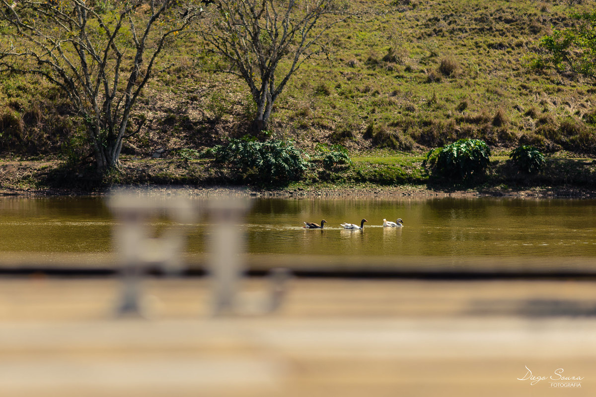 fotografia de casamento - fazenda são luiz da boa sorte - vassouras-rj - www.diegofotografia.com