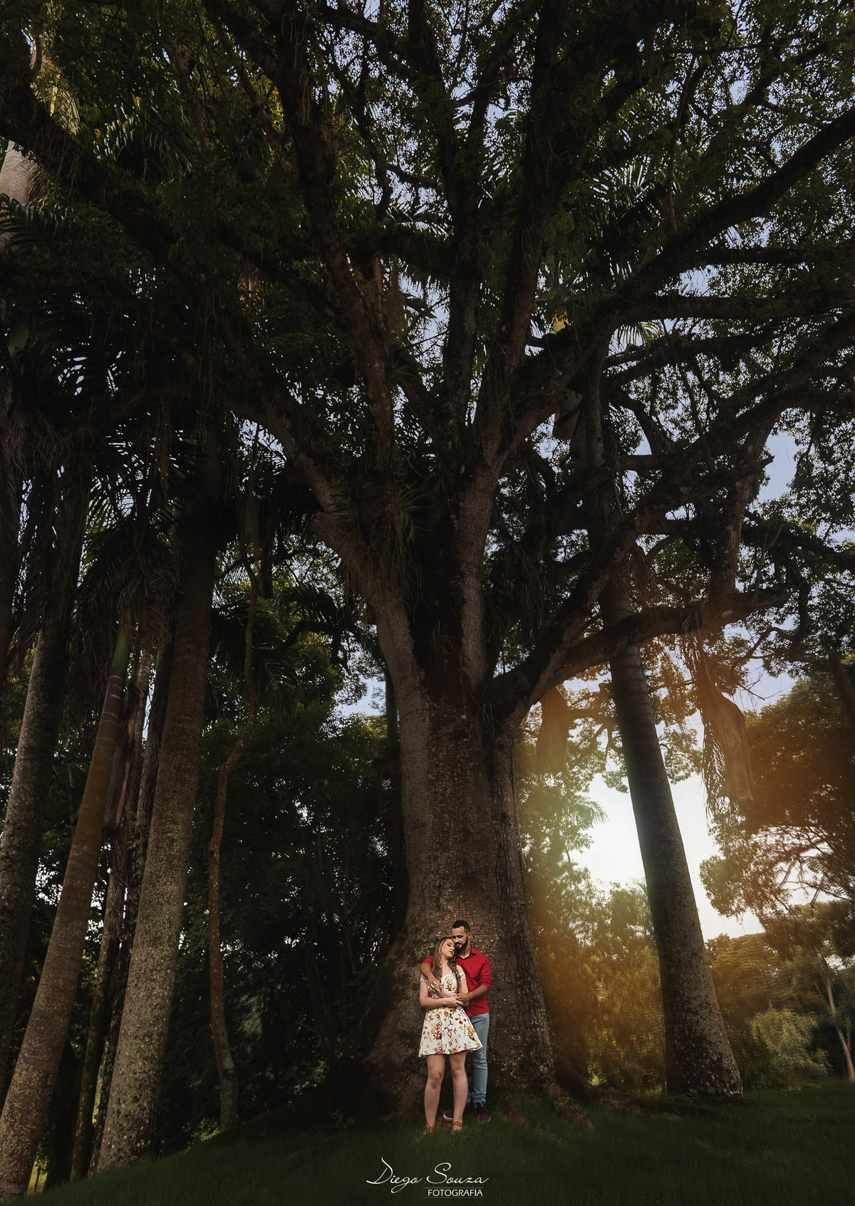 entardecer na fazenda campo alegre - valença rj fotos feita por diego souza fotografia fotografo de casamento e ensaios