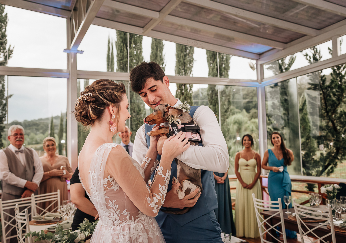 entrada-das-aliacas-diferente-cachorro-com-aliacas-santorini-garden