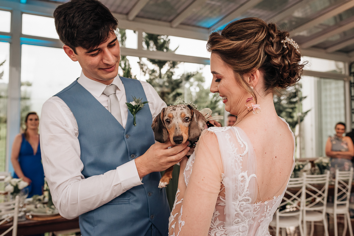 pet-com-aliacas-diferente-cachorro-com-aliacas-santorini-garden-vale-dos-vinhedos