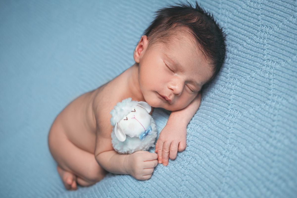 Suellen Oliveira.
ovelha azul.