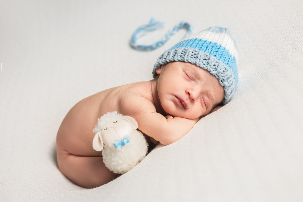 Suellen Oliveira.
ovelha branca.