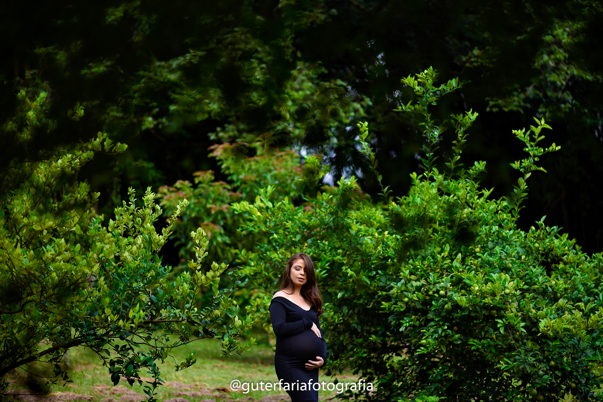 gravida diva, fotos de gavida na natureza, fotografo de gravida